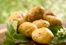 Эксперт: Какой покупать картофель - белый или красный