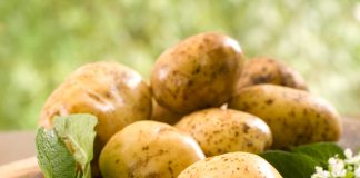Эксперт: Какой покупать картофель - белый или красный