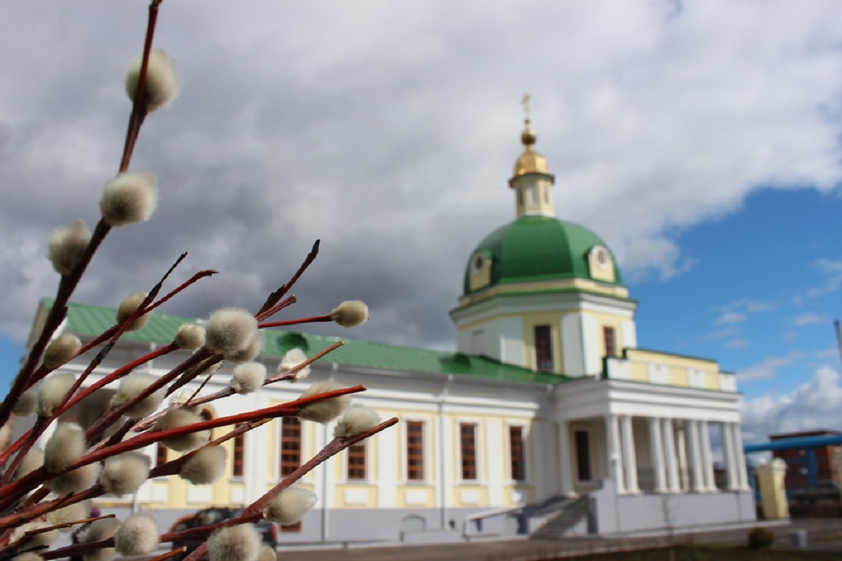 Вербная д 4 стр. Верба храм купол. Вербное в храме. Вербное воскресенье в церкви. С Вербным воскресеньем Верба и храм.